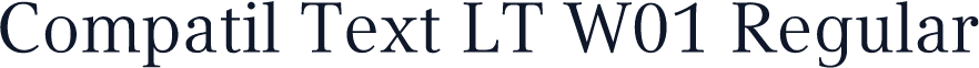 Compatil Text LT W01 Regular