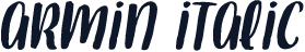 Armin Italic