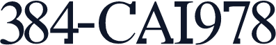 384-CAI978