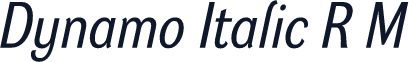 Dynamo Italic R M
