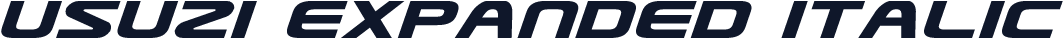 Usuzi Expanded Italic