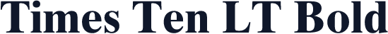 Times Ten LT Bold