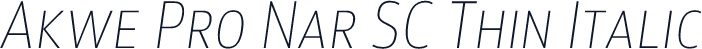 Akwe Pro Nar SC Thin Italic
