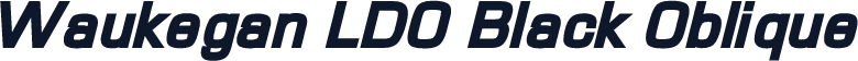 Waukegan LDO Black Oblique