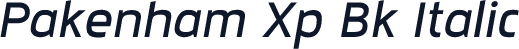 Pakenham Xp Bk Italic