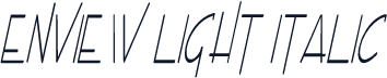 Enview Light Italic