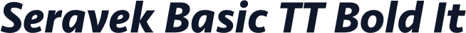 Seravek Basic TT Bold It