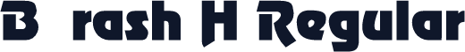 Brash H Regular