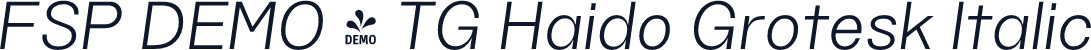 FSP DEMO - TG Haido Grotesk Italic