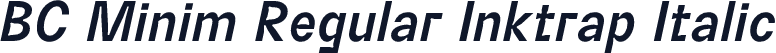 BC Minim Regular Inktrap Italic