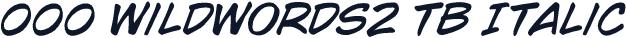 000 WildWords2 TB Italic