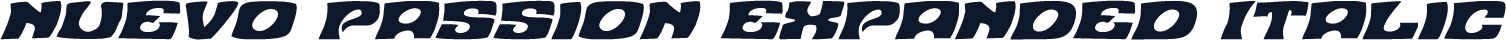 Nuevo Passion Expanded Italic