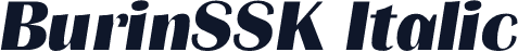 BurinSSK Italic