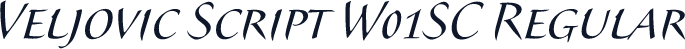 Veljovic Script W01SC Regular