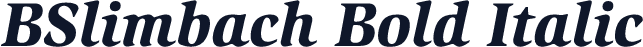 BSlimbach Bold Italic