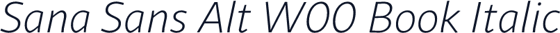 Sana Sans Alt W00 Book Italic
