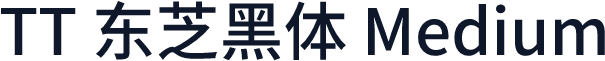 TT 东芝黑体 Medium