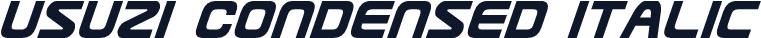 Usuzi Condensed Italic