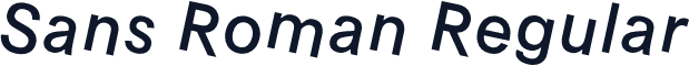 Sans Roman Regular