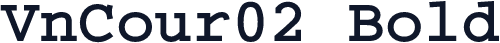 VnCour02 Bold