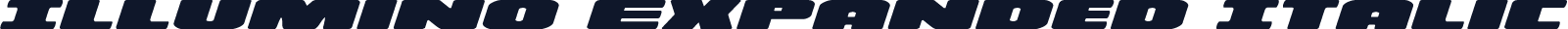 Illumino Expanded Italic
