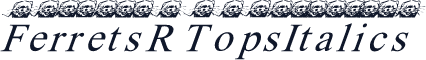 FerretsRTopsItalics