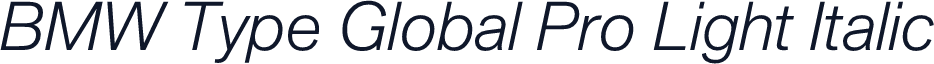 BMW Type Global Pro Light Italic