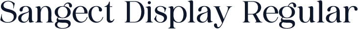 Sangect Display Regular