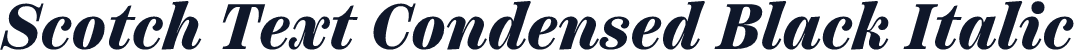 Scotch Text Condensed Black Italic