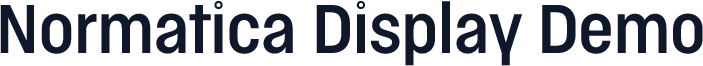 Normatica Display Demo