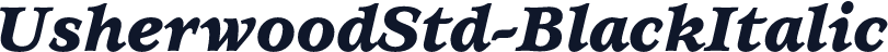 UsherwoodStd-BlackItalic