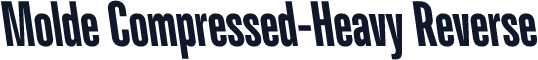 Molde Compressed-Heavy Reverse