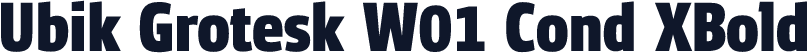 Ubik Grotesk W01 Cond XBold
