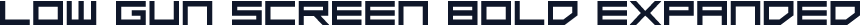 Low Gun Screen Bold Expanded