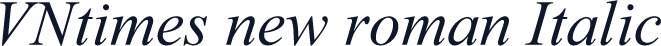 VNtimes new roman Italic