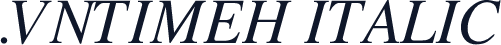 .VnTimeH Italic