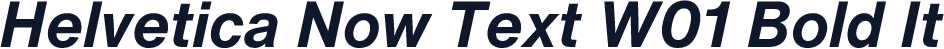 Helvetica Now Text W01 Bold It