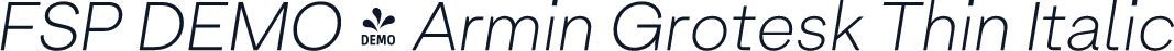 FSP DEMO - Armin Grotesk Thin Italic