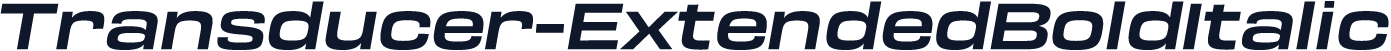 Transducer-ExtendedBoldItalic