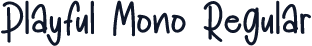 Playful Mono Regular