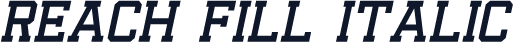 Reach Fill Italic