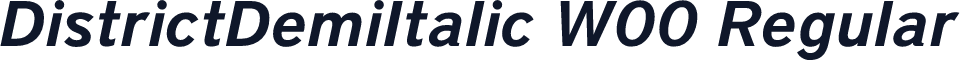 DistrictDemiItalic W00 Regular