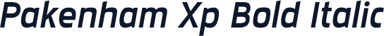 Pakenham Xp Bold Italic
