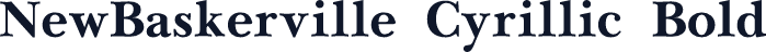 NewBaskerville Cyrillic Bold