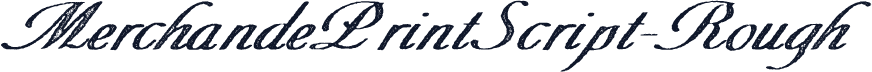 MerchandePrintScript-Rough