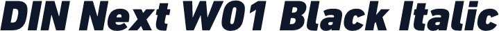 DIN Next W01 Black Italic