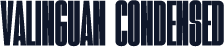 VALINGUAN CONDENSED