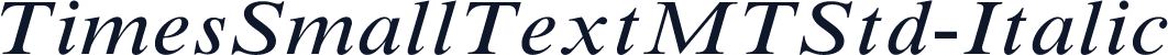 TimesSmallTextMTStd-Italic