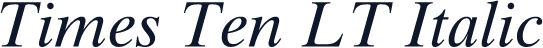 Times Ten LT Italic