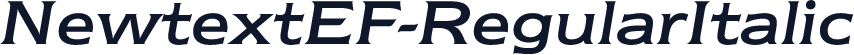 NewtextEF-RegularItalic